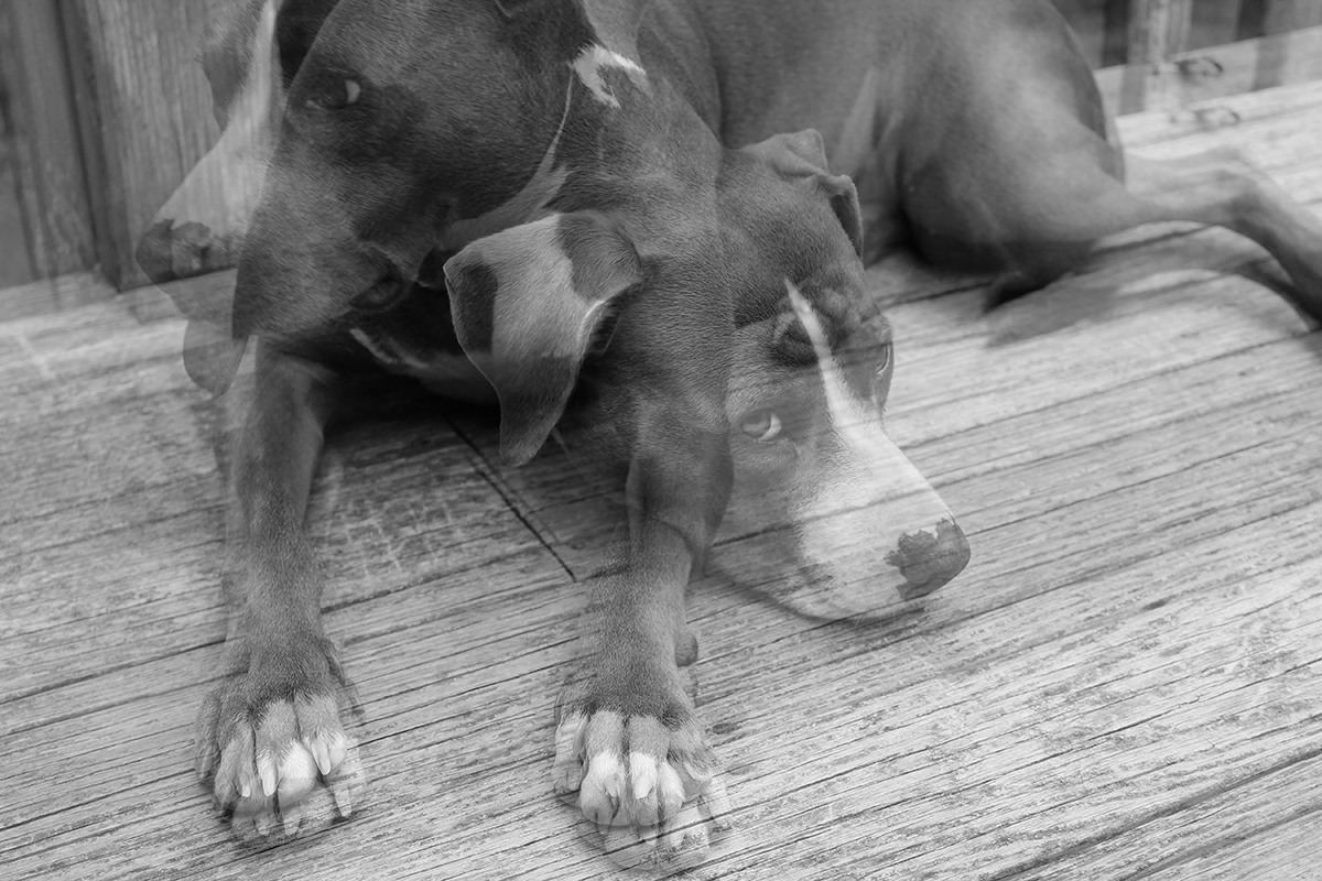 Seeing Double by Jake Manley