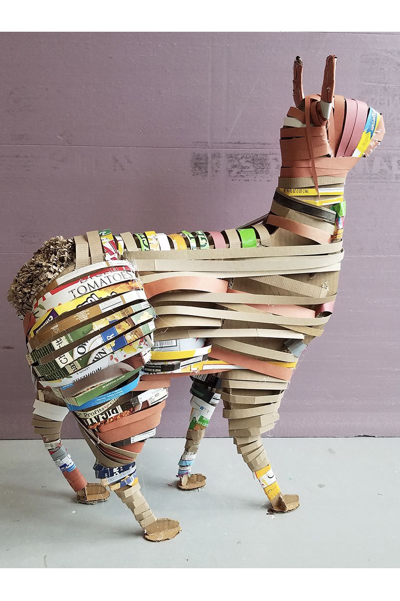 Lama by Isabella Ferrizz