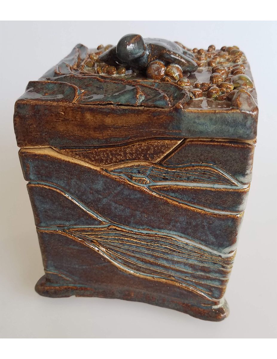 Turtle Box by Julia Kingsly